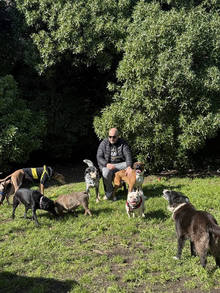 Fundador de Perreando Ando junto a la manada de perros en el predio